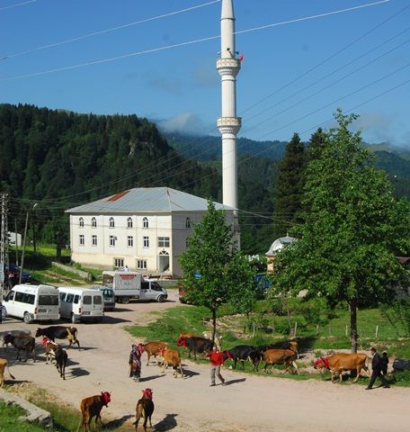 Yayla Göçleri-2013