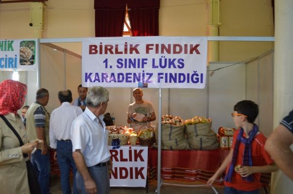 Feshane Etkinlikleri Başladı