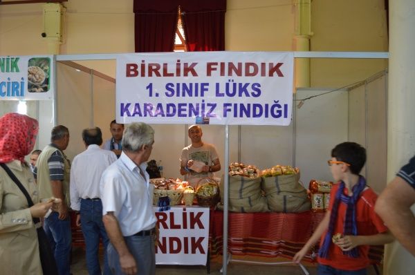 Feshane Etkinlikleri Başladı