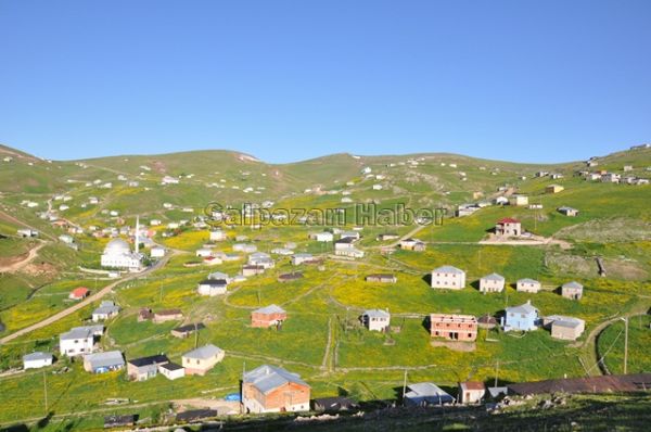 Yaylalarımız-2012