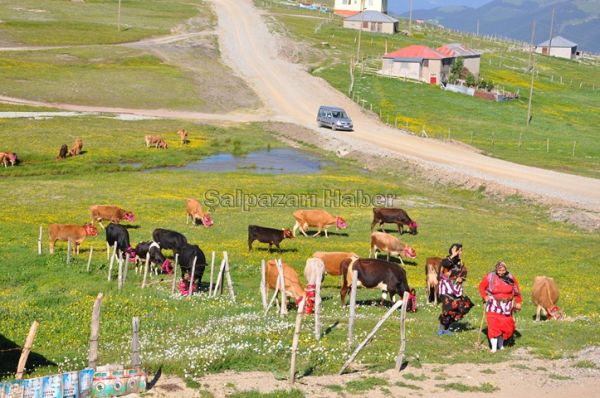 Yayla Göçleri-2012