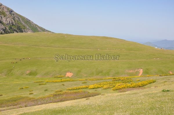 Yaylalarımız-2012