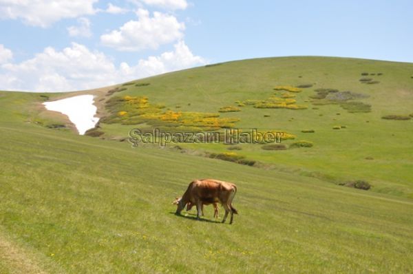 Yaylalarımız-2012