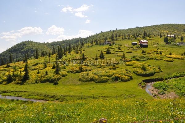 Yaylalarımız-2012