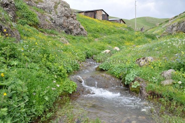Yaylalarımız-2012