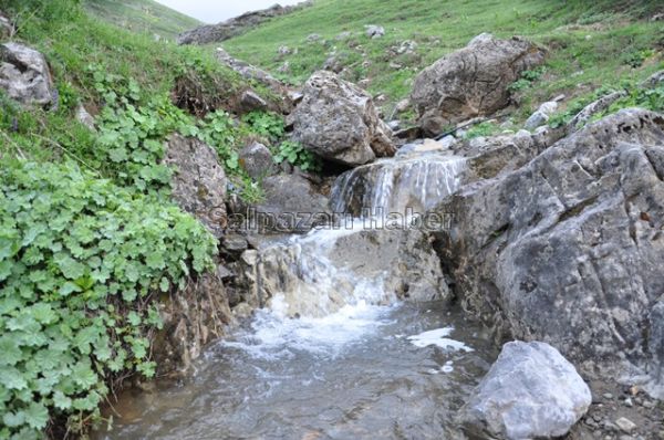 Yaylalarımız-2012