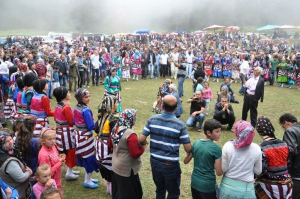Göllüalan-2013
