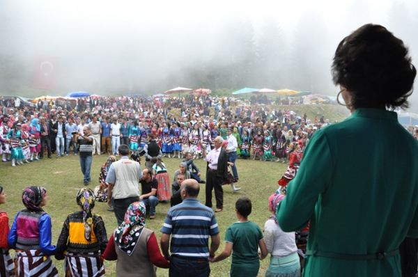 Göllüalan-2013