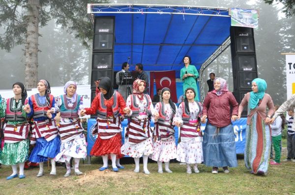 Göllüalan-2013