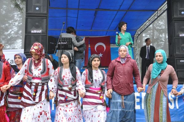 Göllüalan-2013