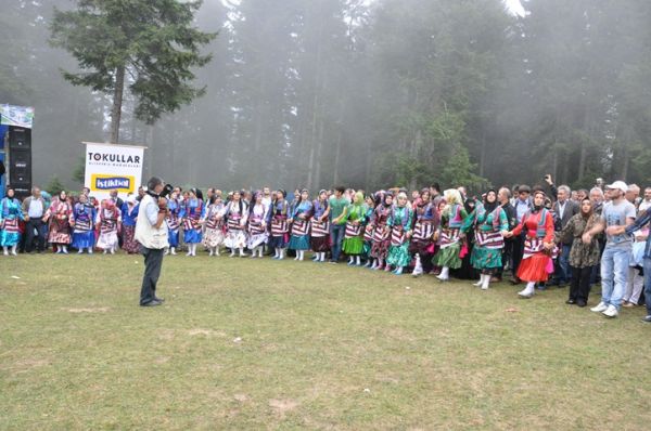 Göllüalan-2013
