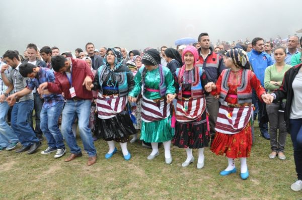 Göllüalan-2013
