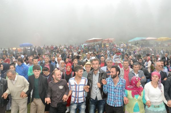 Göllüalan-2013