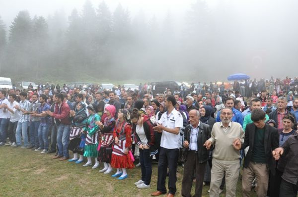 Göllüalan-2013