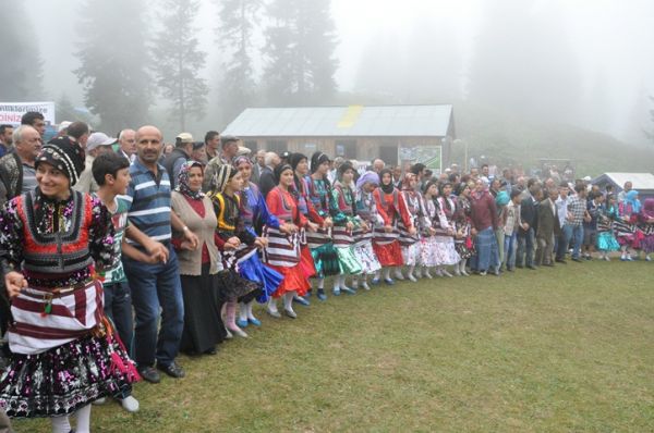 Göllüalan-2013