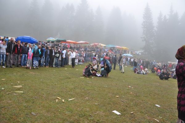 Göllüalan-2013
