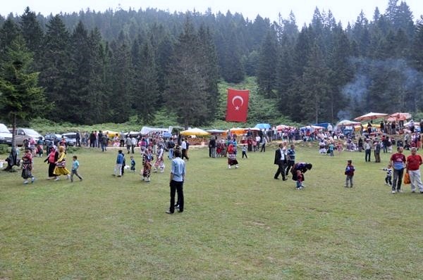 Göllüalan-2013