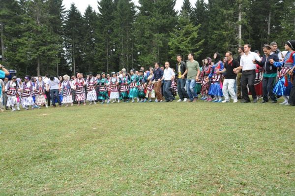 Göllüalan-2013
