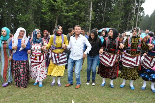 Göllüalan-2013