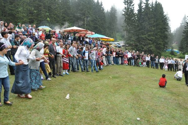 Göllüalan-2013