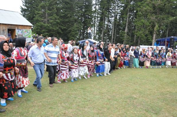 Göllüalan-2013