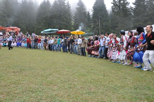 Göllüalan-2013