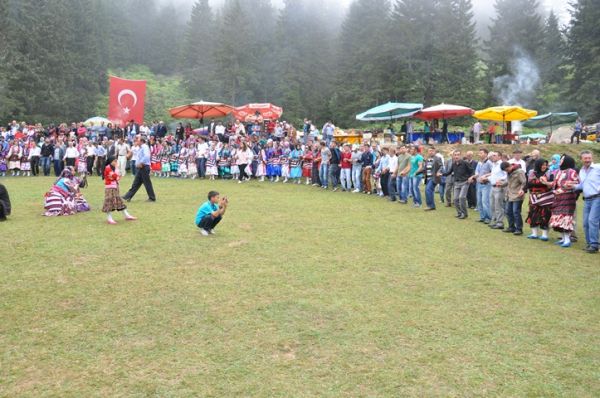 Göllüalan-2013