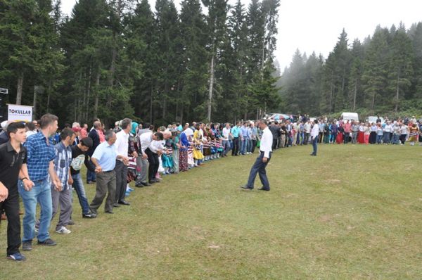 Göllüalan-2013