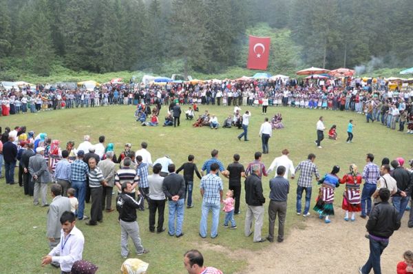Göllüalan-2013