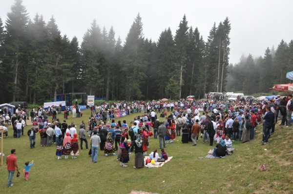 Göllüalan-2013