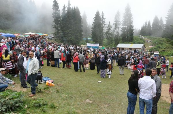 Göllüalan-2013