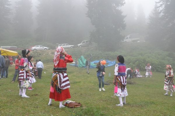 Göllüalan-2013