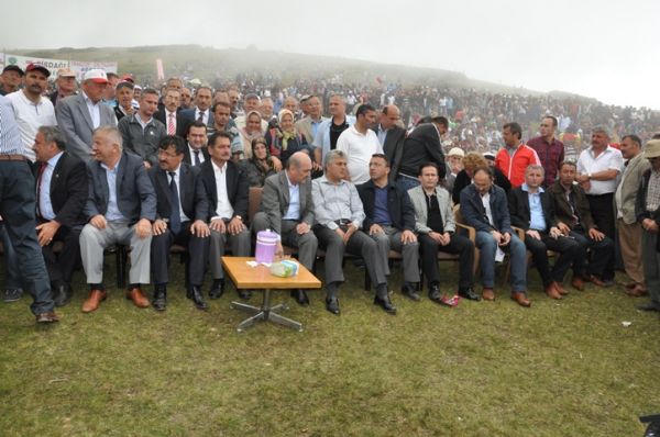 194. Sisdagı Şenliği 2013