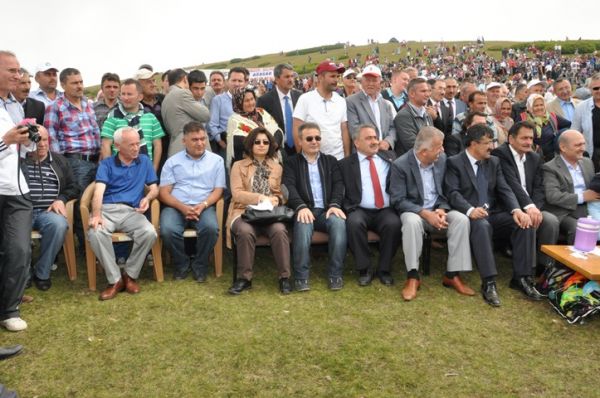 194. Sisdagı Şenliği 2013