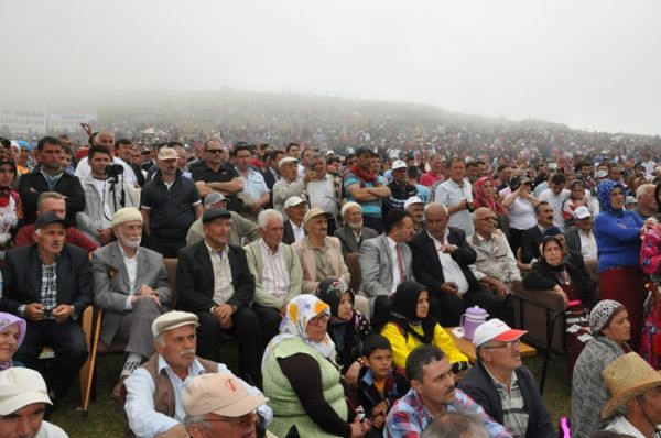 194. Sisdagı Şenliği 2013