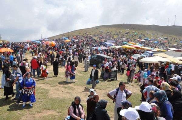 Kadırga otçusu 2013