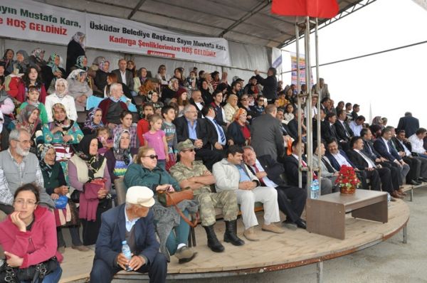 Kadırga otçusu 2013