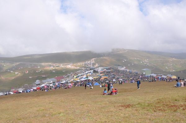 Kadırga otçusu 2013