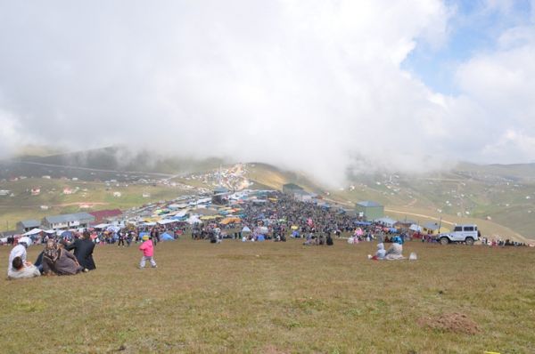 Kadırga otçusu 2013