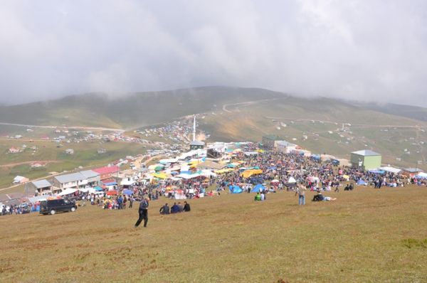 Kadırga otçusu 2013