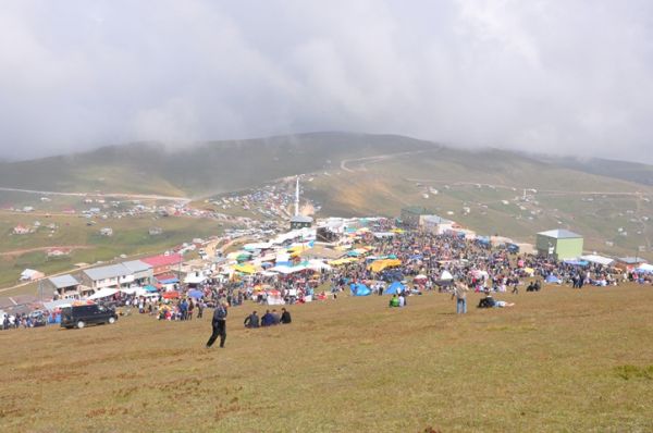 Kadırga otçusu 2013