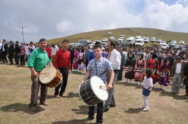 Kadırga otçusu 2013