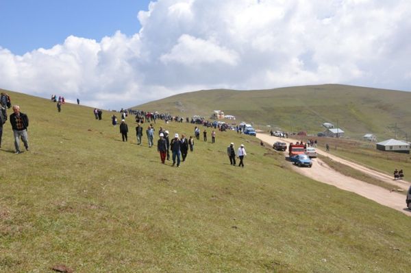 Kadırga otçusu 2013