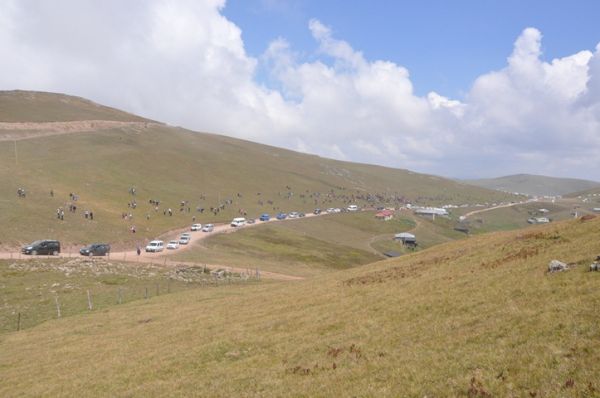 Kadırga otçusu 2013