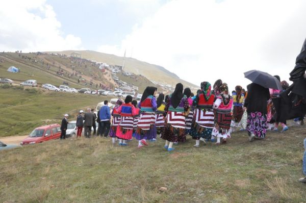 Kadırga otçusu 2013
