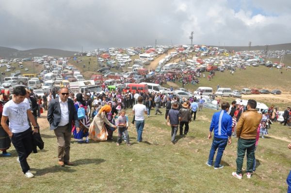 Kadırga otçusu 2013