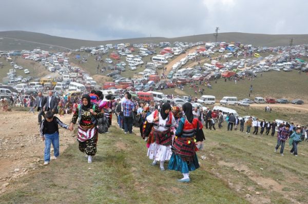 Kadırga otçusu 2013