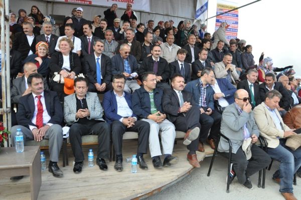 Kadırga otçusu 2013