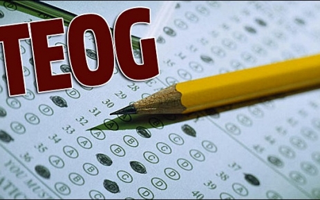 2014 TEOG Sınavı Yerleştirm​e Sonuçları Belli Oldu.