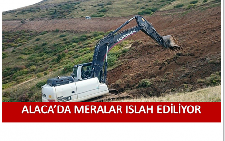 Alaca'da Meralar Islah Ediliyor.